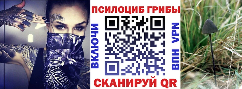 что такое наркотик  Солигалич  Псилоцибиновые грибы Psilocybe 